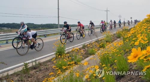 자전거 사고 느는데 지자체 보험 혜택은 '복불복'#곰바이