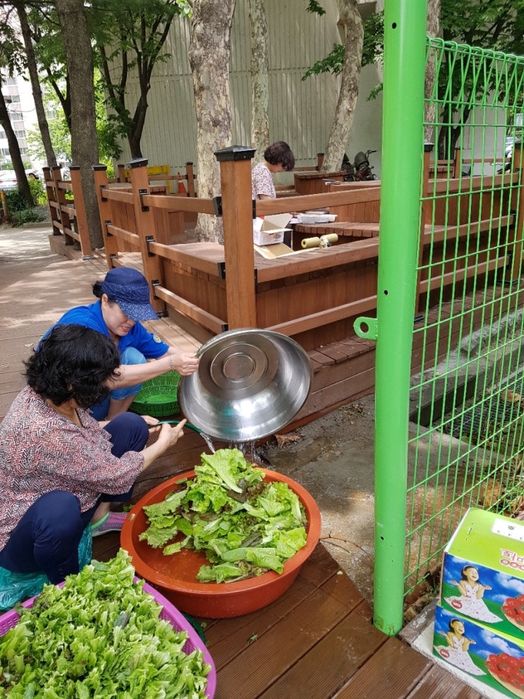 텃밭에서 수확한 팜파티 텃밭에서 수확한 팜파티