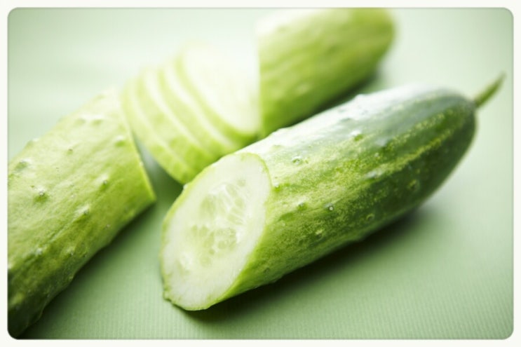  여름철 더위 해결사 오이!
