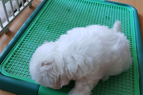 한샘만물창고 이미지
