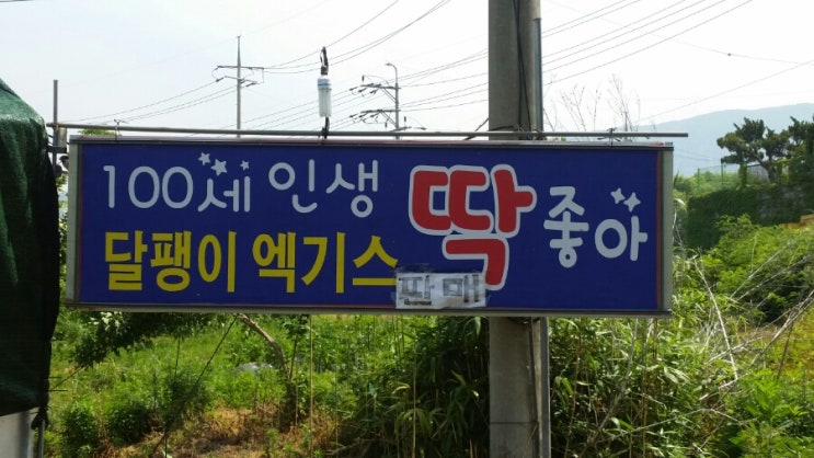  새로운 문구
