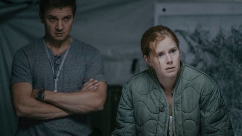 [헐리웃 배우] 에이미 아담스(Amy Adams)의 놀라운 필모그래피