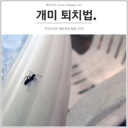 개미 퇴치법 추천 도로지 워킹 가드