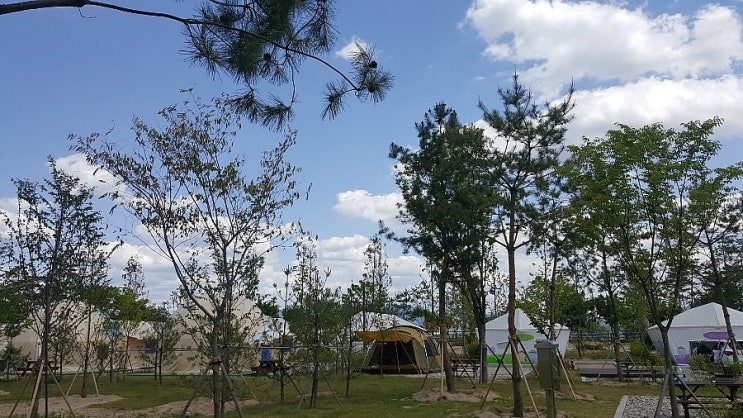  춘천박사마을어린이글램핑장(17.06.03~17.06.04)