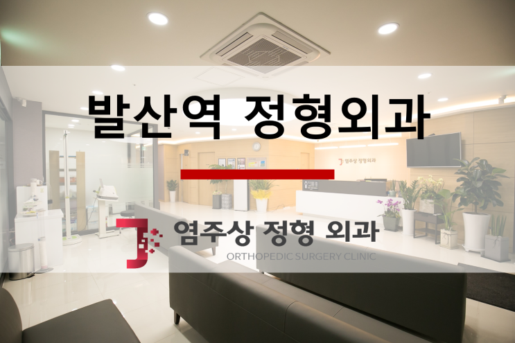  [강서구, 마곡지구, 발산역]염주상 정형외과, 진료안내