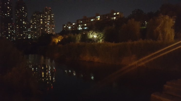  도심 속 자연, 양재천