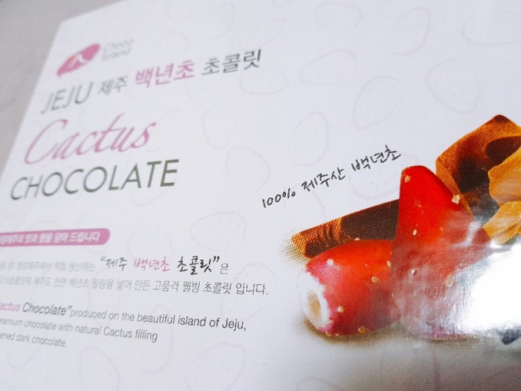  제주 초콜릿 백년초