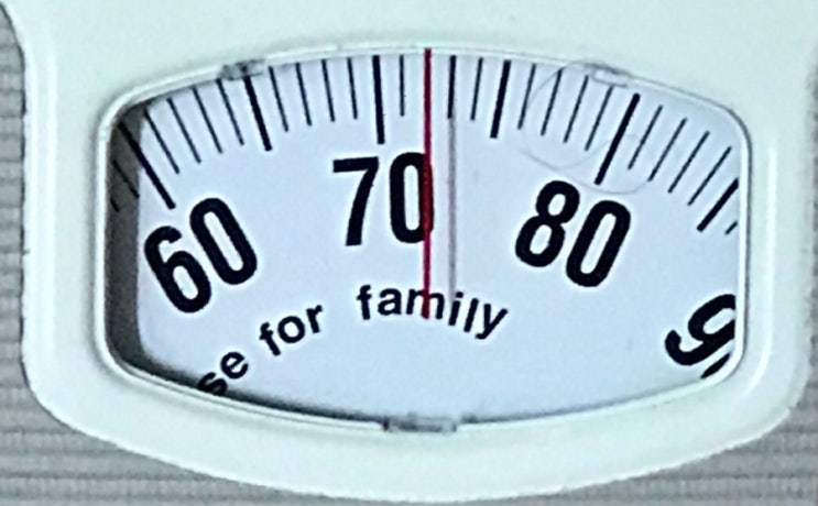  ㄴㅂㅂ3일차(-3kg)
