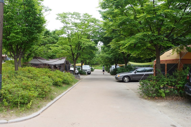 중랑캠핑숲 예약 팁, 이용요금, 명당