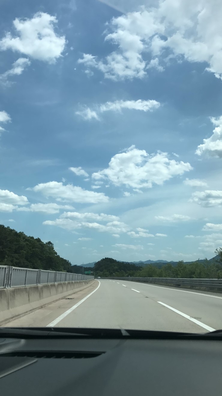  2017 제5회 무주산골영화제 (비밀은 없다)