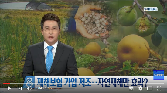 [뉴스데스크]재해보험 가입저조..자연재해만 효과? - 광주MBC뉴스#곰바이