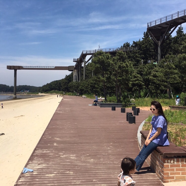  서천 장항 스카이워크,월요일은 휴관,금강식당,우어회백반,