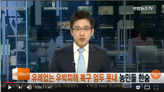 유례없는 우박피해 복구 엄두 못내…농민들 한숨 / 연합뉴스TV (YonhapnewsTV) 