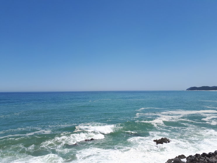  울진여행 (6월 4일 ~ 5일) - 첫날