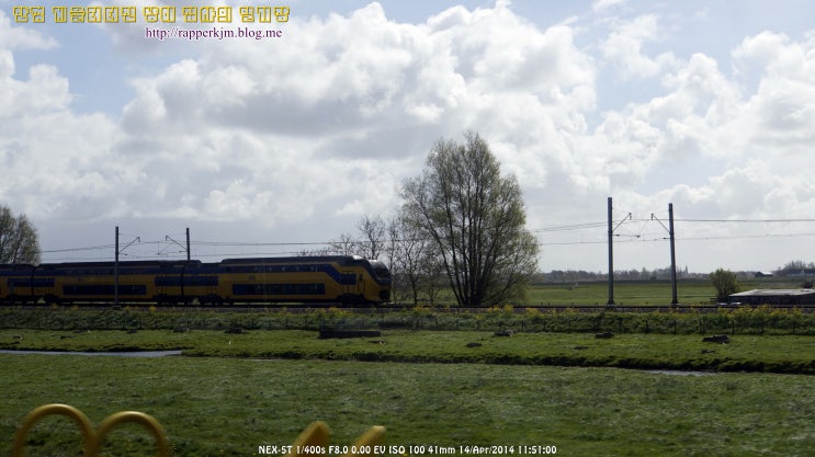  140414/21일/Nederland] Keukenhof & Zaanse Schans