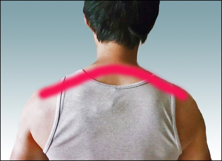 남자 어깨넓이 재는법 알려드릴게요 : 네이버 블로그