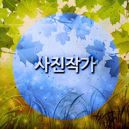  사진작가 되려면 어떻게 해야할까요?