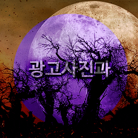  광고사진과 직업체험은 한예진에서!