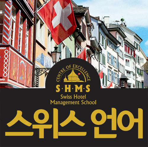  스위스어가 없다? 스위스 언어는?