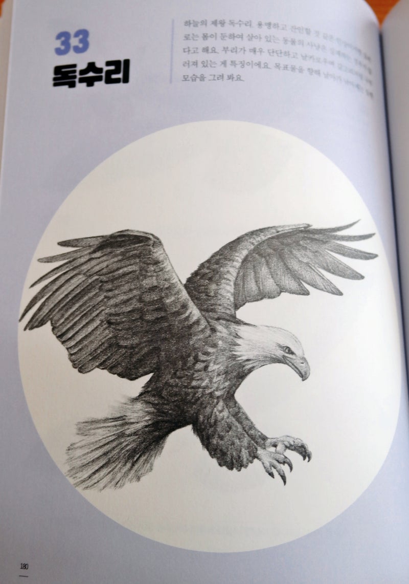 연필드로잉 동물드로잉 : 매일 동물 드로잉 : 네이버 블로그, image size:800x1141