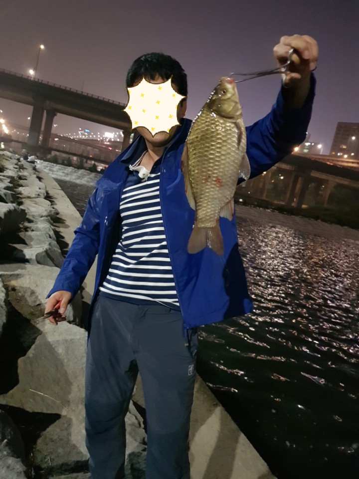  한강 탄천합수부 붕어1  메기 5마리 신나는 낚시질~~ㅋㅋ