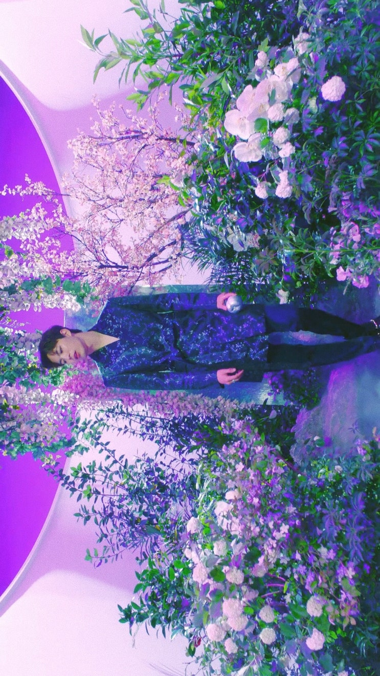  빅스(VIXX) 도원경 뮤직비디오 캡쳐/배경화면/고화질