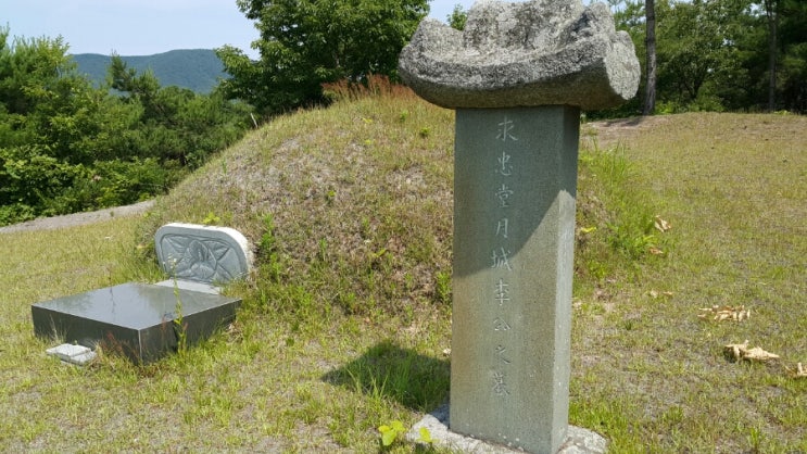 êµ¬ì¶©ë‹¹ ì´ì˜ë¦½ ë„¤ì´ë²„ ë¸