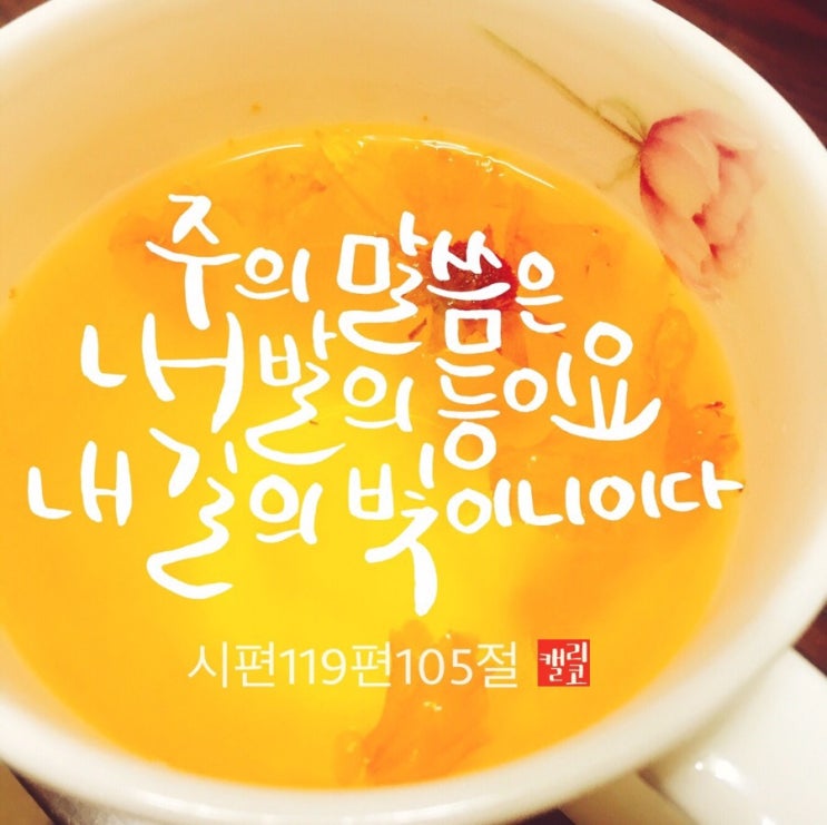  [말씀캘리] #7 시편119편105절