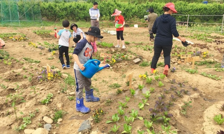 [도시농업 특별다큐] 과천시 도시농업 교육장 하하행복나눔텃밭 개장식 - 과천도시농업, 한국사이버원예대학, 꿈틀어린이학교, 수생정원, 논학교, 텃밭정원, 신계용 과천시장, 이홍천 시의장, 윤미현 시의원, 배수문 도의원, 능화 손병남, 탄청 신상걸, 자구 변흥섭