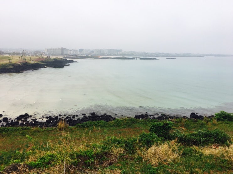 [여행기록] 제주도 한달살기 - 10