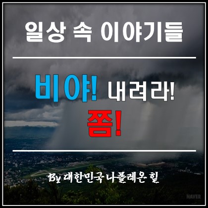  비야! 내려라~ 쫌!!