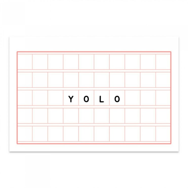  YOLO 뜻 / 이미지