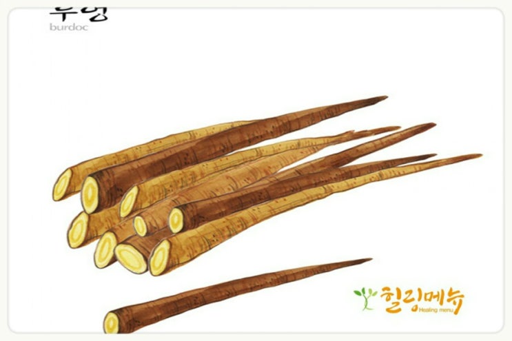  채소 중 식이섬유가 으뜸인  우엉!