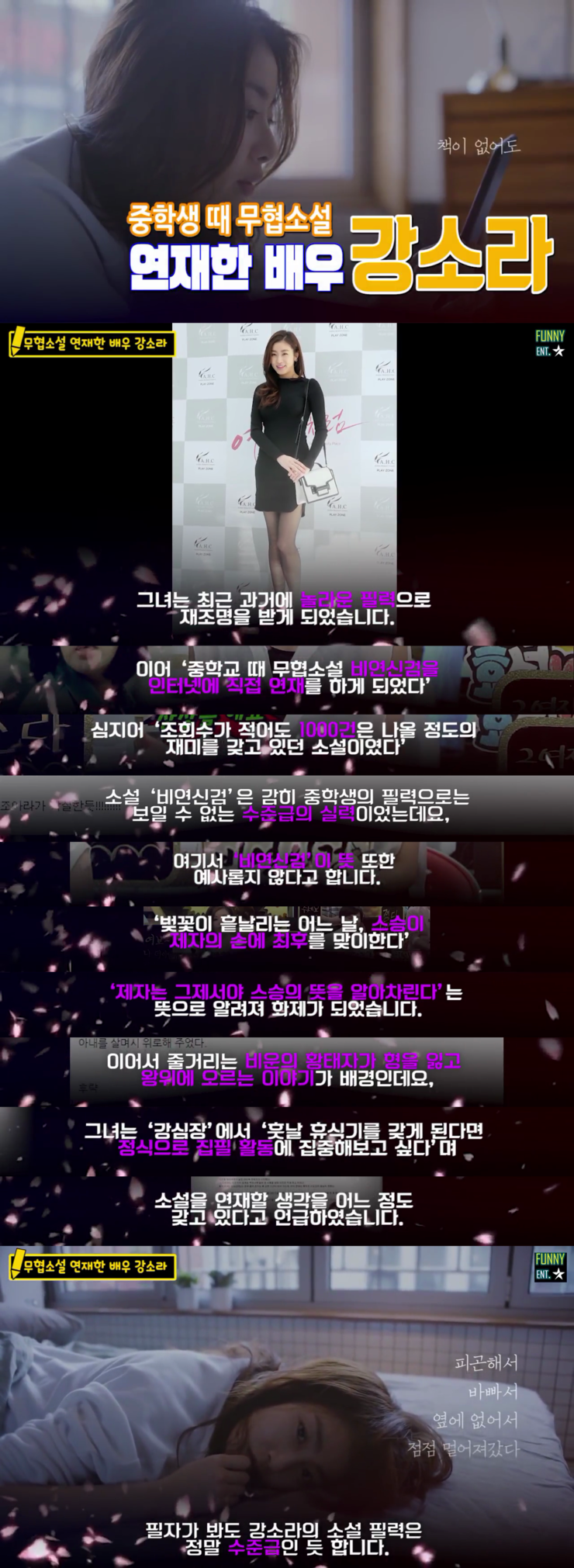 소설 "비연 신검" 의 뜻(중학생 때 무협소설 연재한 배우 강소라)