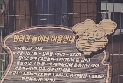  반려견 놀이터 다녀왔어요