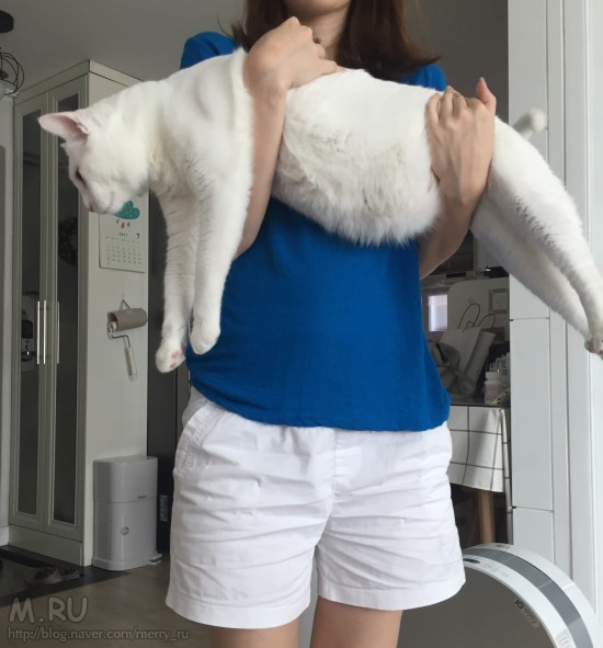 허니의 폭풍성장 이야기 (부제:엄마가미안해)