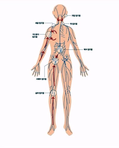 15분 기적의 림프마사지 [겨드랑이, 귀밑, 쇄골, 복부, 서해부] 3