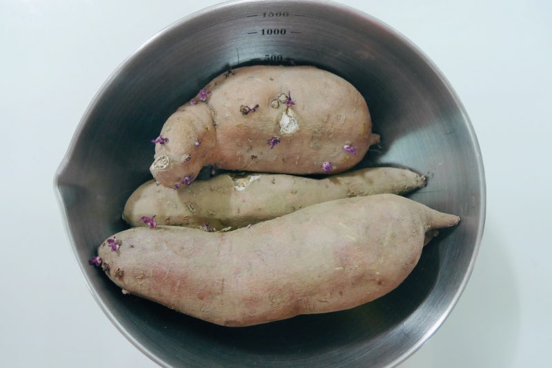 고구마 싹난거 먹어도 되나요? / 싹난 고구마 제거하기 : 네이버 블로그 고구마 싹난거 먹어도 되나요? / 싹난 고구마 제거하기 : 네이버 블로그