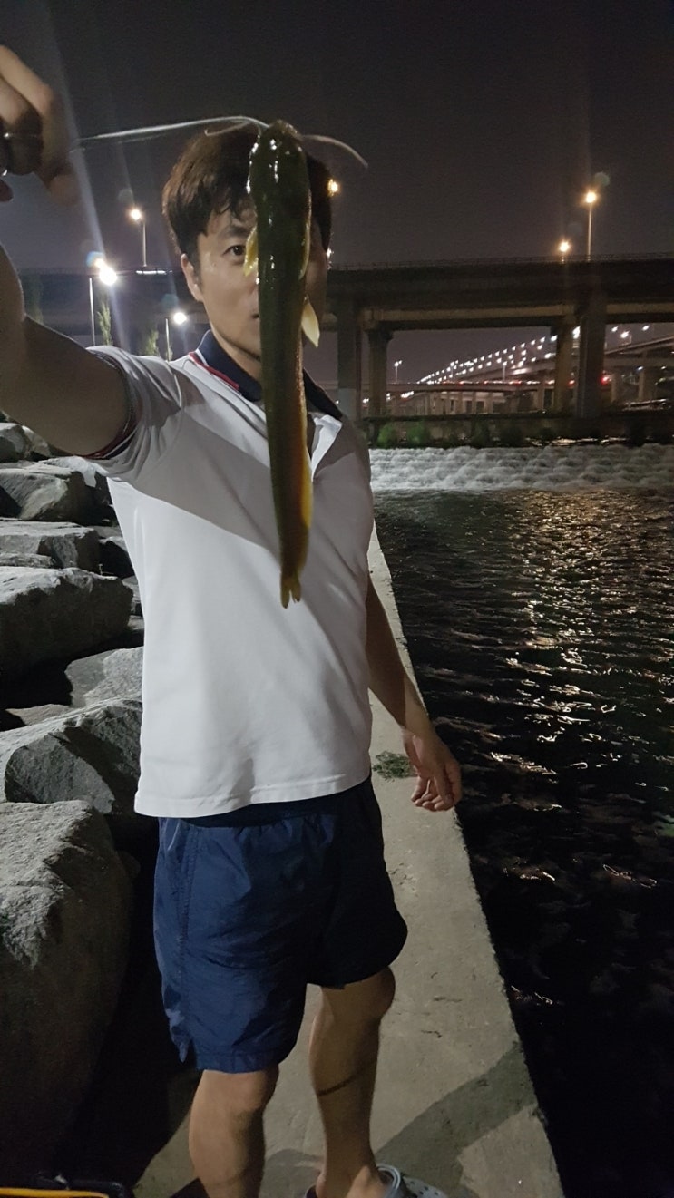  탄천 메기 낚시. 넘 피곤한것 ㅜㅜ
