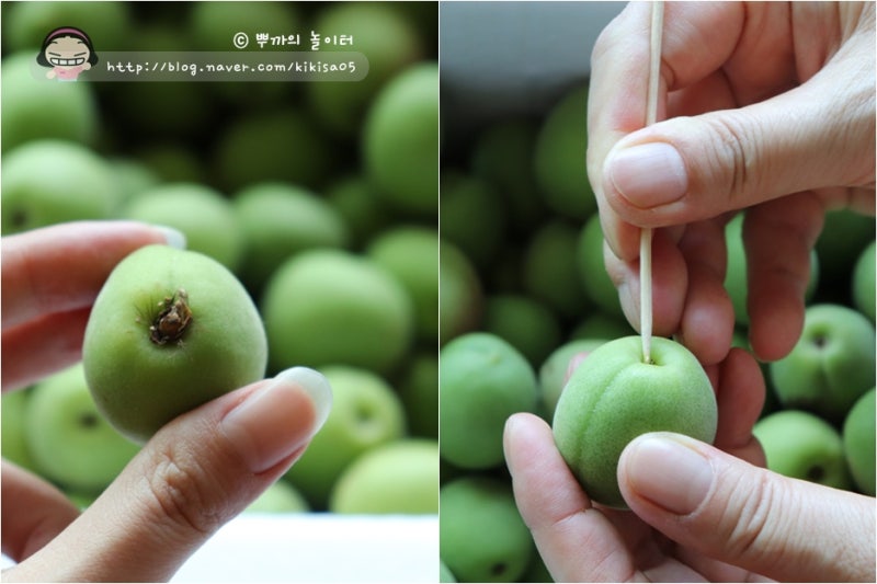 광양매실로 만드는 매실장아찌 손질하기 꿀팁!! 2