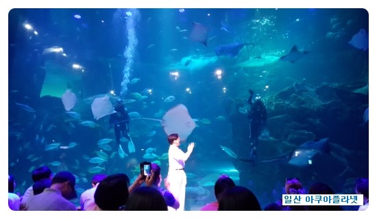  일산 아쿠아플라넷 가보았더니~