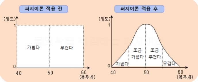  융합시사상식 - 불명확함을 측정하는 퍼지이론 퍼지수학