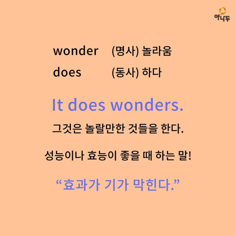 호두 효능 견과류 중 특별한 이유