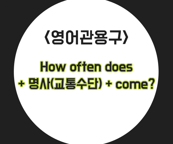  영어관용구] How often does ~?