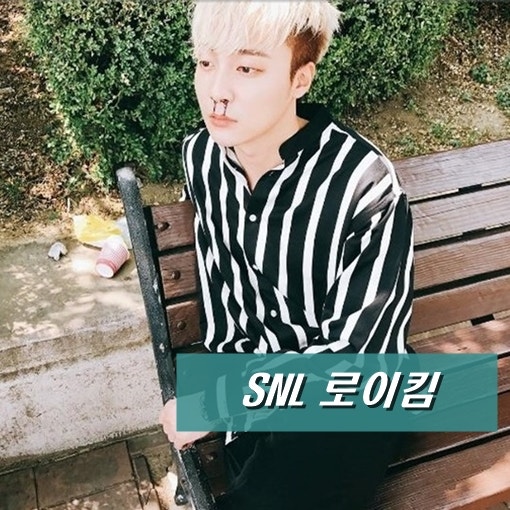 snl 로이킴 개그열정폭발!