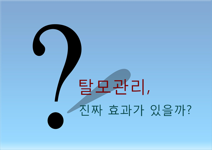 두피관리 진짜 효과있나? 두피관리 진짜 효과있나?