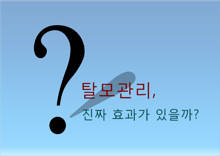 두피관리 진짜 효과있나? 