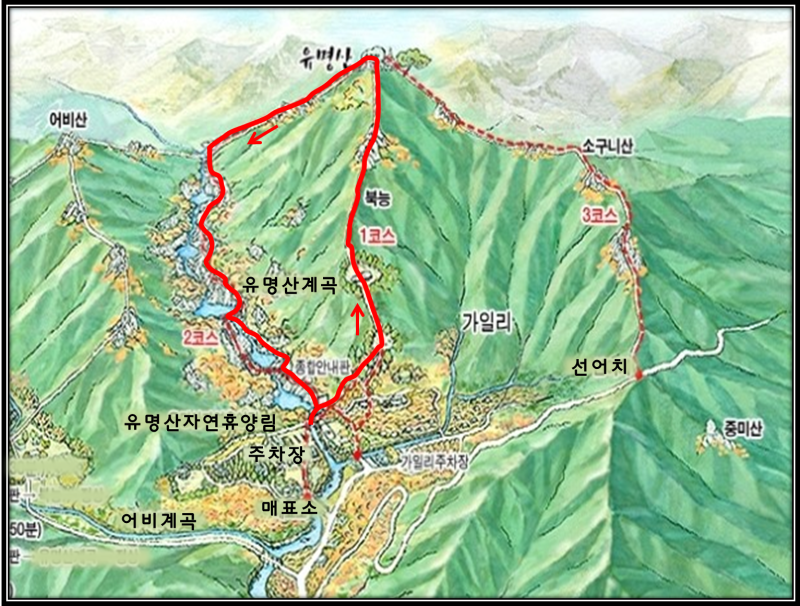가평 친환경 목이버섯 유명한 산들농원