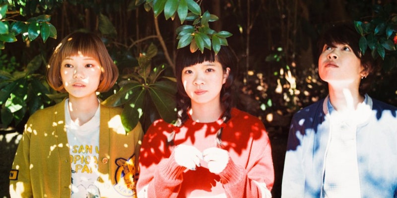 Shishamo 花 네이버 블로그