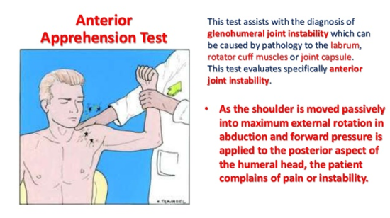 Anterior apprehension test, Posterior apprehension test - 어깨 탈구 및 불안정성 검사 :  네이버 블로그